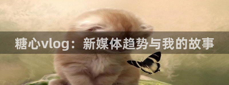 糖心vlog入口官网：糖心vlog：新媒体趋势与我的故事