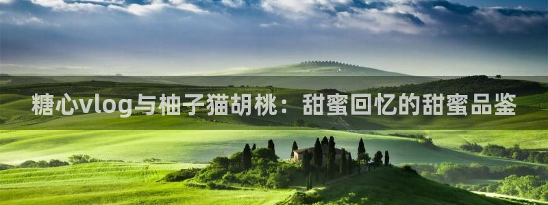 心糖vlog怎么报名：糖心vlog与柚子猫胡桃：甜蜜回忆的甜蜜品鉴