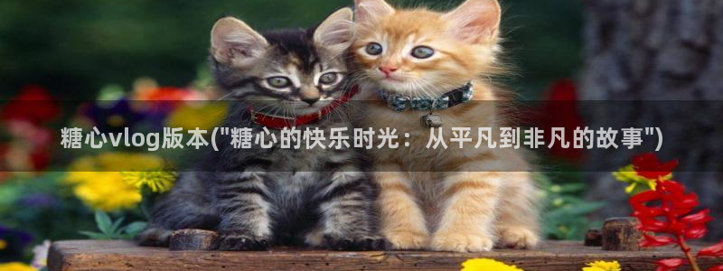 麻豆 糖心vlog:糖心vlog版本(\