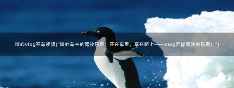 糖心vlog推荐码：糖心vlog开车视频(\