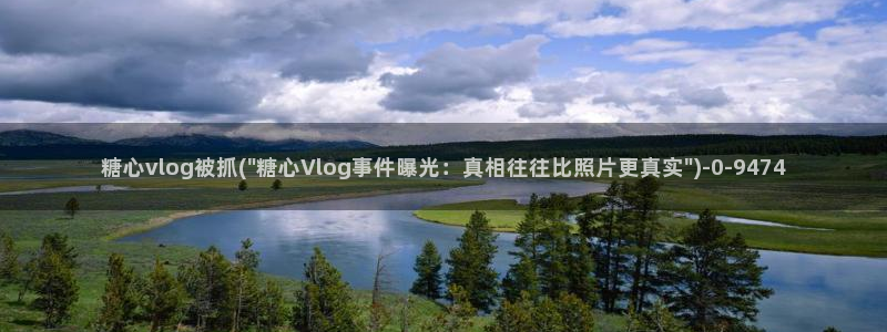18糖心vlog苹果版：糖心vlog被抓(\