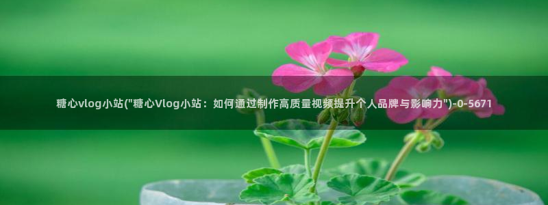 糖心vlog原创up:糖心vlog小站(\