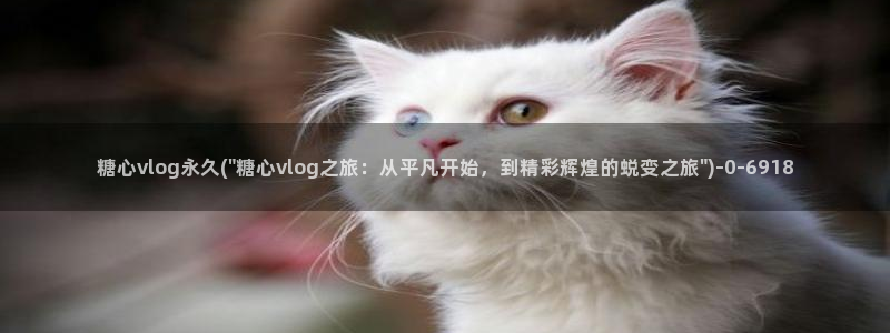 糖心vlog官方app：糖心vlog永久(\