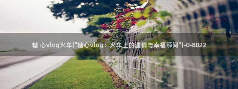 vlog糖心多乙：糖 心vlog火车(\