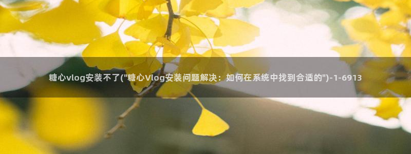 vlog糖心苹果：糖心vlog安装不了(\