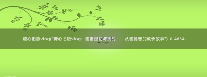 糖心vlog无码AV：糖心旧版vlog(\