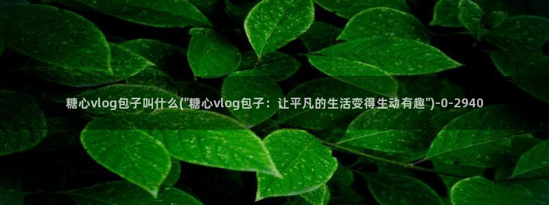 糖心vlog视频免费看：糖心vlog包子叫什么(\